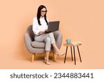 Small photo of Full body photo of elegant company ceo lady sit cozy chair use netbook networking isolated on beige color background