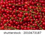 Freshly picked redcurrants background, top view, healthy nutrition