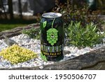 Small photo of Rothwell, UK 05-04-2021 Metamorphosis India Pale Ale produced by KAIJU! beer.