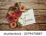 Hello June Typography Text With ...