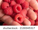 Photo Of A Red Raspberry In A...