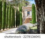 Small photo of Uzes, France - July the 8th 2022: Provencal alley with a row of long thin trees on the left and a row of lavender on the right, leading to a large stone house in the south of France with arch, window