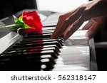 Red Roses On Piano Keys