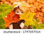 Autumn Baby Portrait In Fall Yellow Leaves, Little Child In Woolen Hat, Beautiful Kid in Park Outdoor, Knitted Clothing for October Season