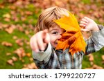Autumnal mood. Little child boy in autumn orange leaves, outdoor