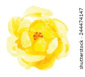 Download Yellow Rose 1 Free Stock Photos Rgbstock Free Stock Images Dieterjj September 01 2010 15 PSD Mockup Templates