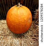 Small photo of Pumpkin on straw in style Flim Grain noise effect for Halloween holiday