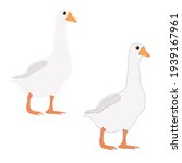  Set Of Two White Geese ...