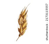 Ear Of Wheat Watercolor...