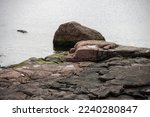 The rocky sea coast of the Gulf of Finland in the Helsinki area