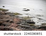 The rocky sea coast of the Gulf of Finland in the Helsinki area