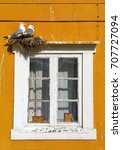 A Seagulls Nest On A House Wall....