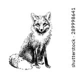 Fox Engraved Illustration....