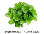 Fresh Green Leaf Mint Isolated...