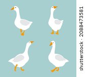 Set Of Cute White Geese. Vector ...