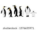 Simple White Black Penguin...