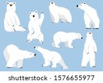 Simple White Bear Character...