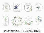 line flower collection with... | Shutterstock .eps vector #1887881821