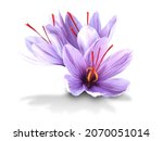 Saffron is a spice derived from ...