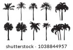 tropical coconut palm ... | Shutterstock .eps vector #1038844957