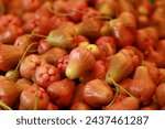 Small photo of Apple is classified as a tropical fruit tree. It is native to Indonesia and India. Nowadays, every house that has fruit trees planted in the front garden. It is popular to grow various types of fruit