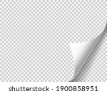 curled page with shadow on... | Shutterstock .eps vector #1900858951