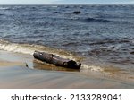 A Log On The Sandy Shore Of The ...