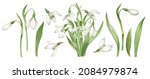 Snowdrops For Spring Mood. 1st...