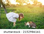 Small photo of Laughing, the girl bent over the pet, which is eating food in the garden on the grass. A child amusingly watches a stray cat eat. A child feeds domestic animals.