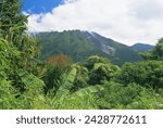 Small photo of Mount sibayak, 2094m high, an active volcano in the karo highlands, north sumatra, sumatra, indonesia, southeast asia, asia