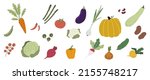 various vegetables. organic... | Shutterstock .eps vector #2155748217