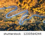 Aerial view of the winding road in autumn forest at sunset in mountains. Top view of perfect asphalt roadway and orange trees. Highway through the woodland in fall. Trip in europe. Travel and nature