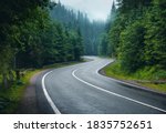 Road in foggy forest in rainy day in spring. Beautiful mountain curved roadway, trees with green foliage in fog and overcast sky. Landscape with empty asphalt road through woodland in summer. Travel
