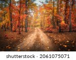 Dirt Road In Autumn Forest In...