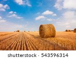 Hay Bale. Agriculture Field...