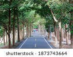 Small photo of A perspective view of a bikeway under an archway of giant old trees with local people walking on the winding pathway through the lavish greenery in the morning, in Shengang District, Taichung, Taiwan