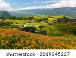 View from a flower farm of orange daylilies (Hemerocallis) on the hillside of Liushidan Mountain (六十石山), overlooking the East Rift Valley on a sunny summer day in Fuli Township, Hualien County, Taiwan