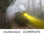 A tourist train, hauled by an antique steam locomotive, traveling thru a forest in the heavy fog, with the track lighted up by the lamp, in Alishan Mountain Resort and Nature Reserve, Chiayi, Taiwan