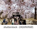 Close up view of beautiful pink cherry blossoms (Sakura) before an old entry gate under which tourists linger and enjoy Hanami in spring, in Takato Castle Ruins Park 高遠城址公園, Ina, Nagano 長野, Japan