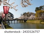 Small photo of Lamp lights in the shape of traditional Japanese paper lanterns by the canal and a wooden bridge over the rive with cherry blossom trees blooming on a sunny spring day in Joetsu City, Niigata, Japan