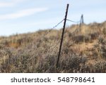 Metal Barbed Wire Fence In Sage ...