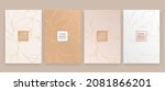luxury banner in light colors ... | Shutterstock .eps vector #2081866201