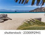 The white sandy beach with the turquoise ocean against the backdrop of mountains visible from behind palm branches and turtle figure on a sunny day in Mindelo, Sao Vicente island, Cape Verde.