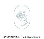 Echinacea Flower  Medical Herbs....