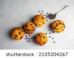 Chocolate chip muffins in plate on light gray background