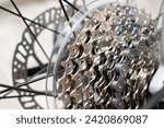 Bicycle rear derailleur gear cassette chain