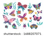 Butterfly Moth Insect Vector...