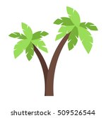 coconut tree vector