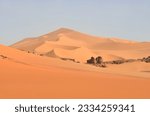 Panorama of the Algerian Sahara with dunes 