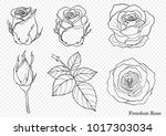 Rose Vector Set By Hand Drawing....